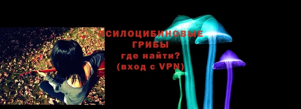 ешки Абинск