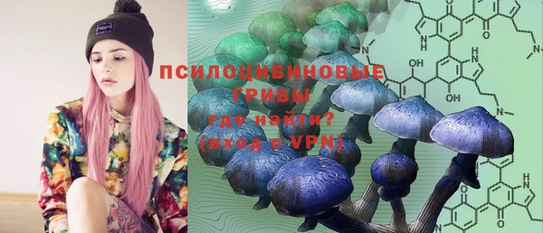 ешки Абинск